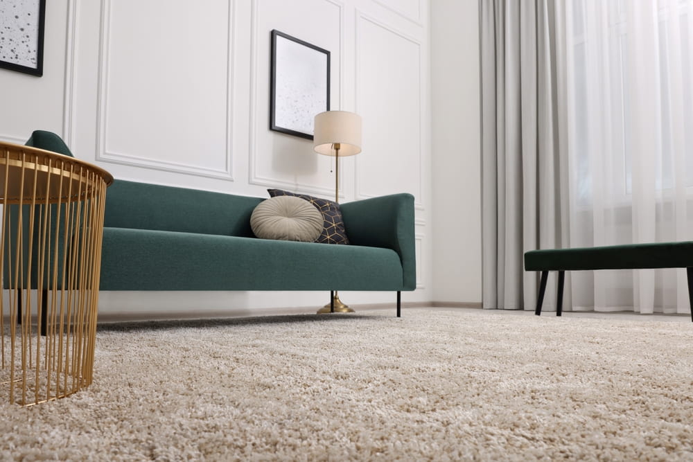 Carpet Flooring for Warm and Cozy Feel