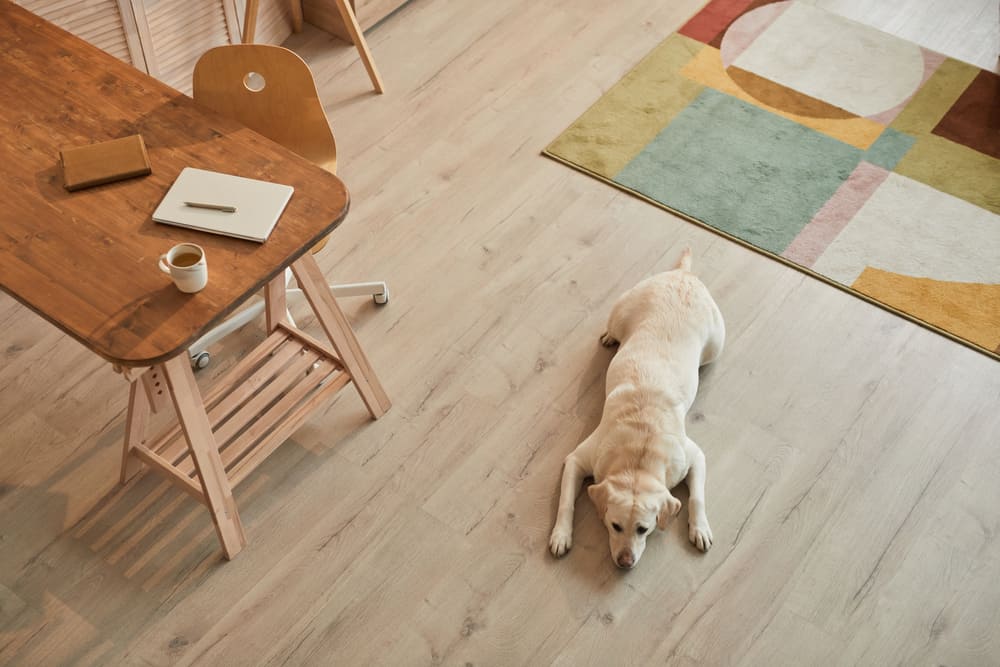 Best Flooring for Your Home